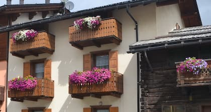 appartements Ringemel-1