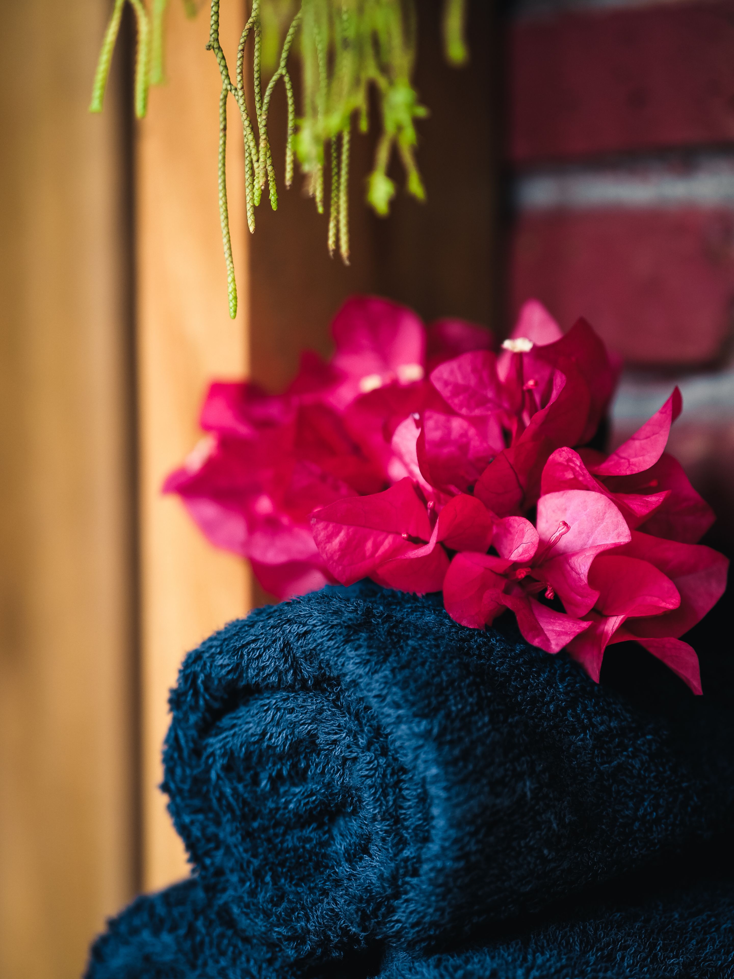 A blue towel and pink flowers on a surface.