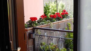 Vista desde una puerta a un patio con pared de piedra, flores rojas y barandilla de metal.