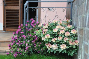 A garden with pink and white flowers in front of a building with a metal gate and steps.