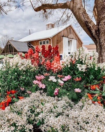 Rantaretkeily historiallisessa Lewesissä saatavana 3 yön minimiin.
