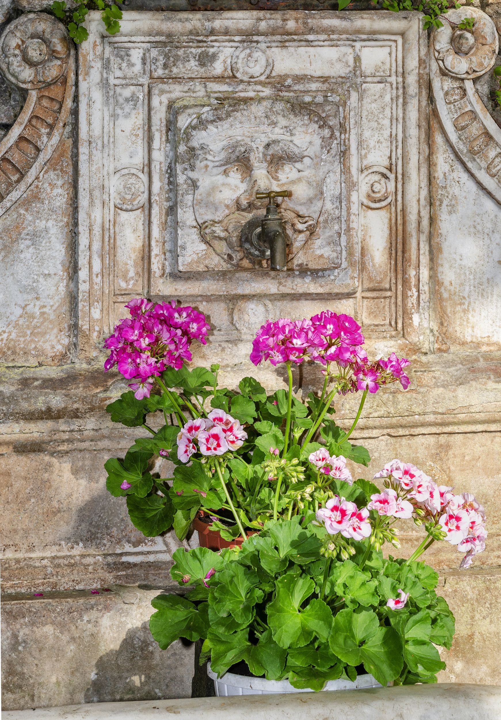 Foto - Casa Diocesana di Lucca