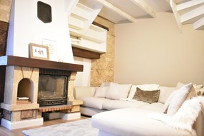 Télévision à écran plat, cheminée, Netflix, services de streaming