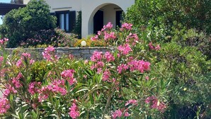 A modern two-story house with a covered patio and a garden with pink flowers.