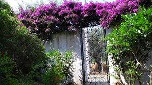 A garden with a metal gate, lush greenery, and purple flowering plants. - Sweet Home La Conturella (Ricadi)