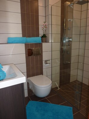 Shower, hair dryer, towels, soap