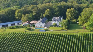 A vineyard with rows of grapevines, a large house with a swimming pool, and a white building with a blue roof. - Clos Mirabel Manor B&B (Jurancon)