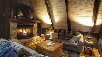 Télévision, cheminée, jeux vidéo, lecteur de DVD