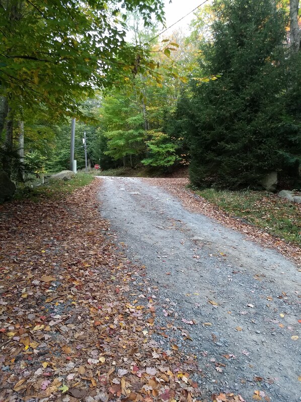 A gravel road surrounded by trees with autumn leaves.