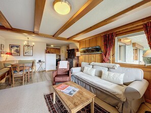 TV, fireplace, DVD player - Valériane 110 (Verbier)