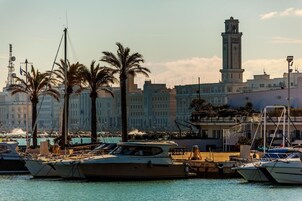Un port de plaisance où sont amarrés plusieurs bateaux, avec des palmiers et une tour imposante en arrière-plan.