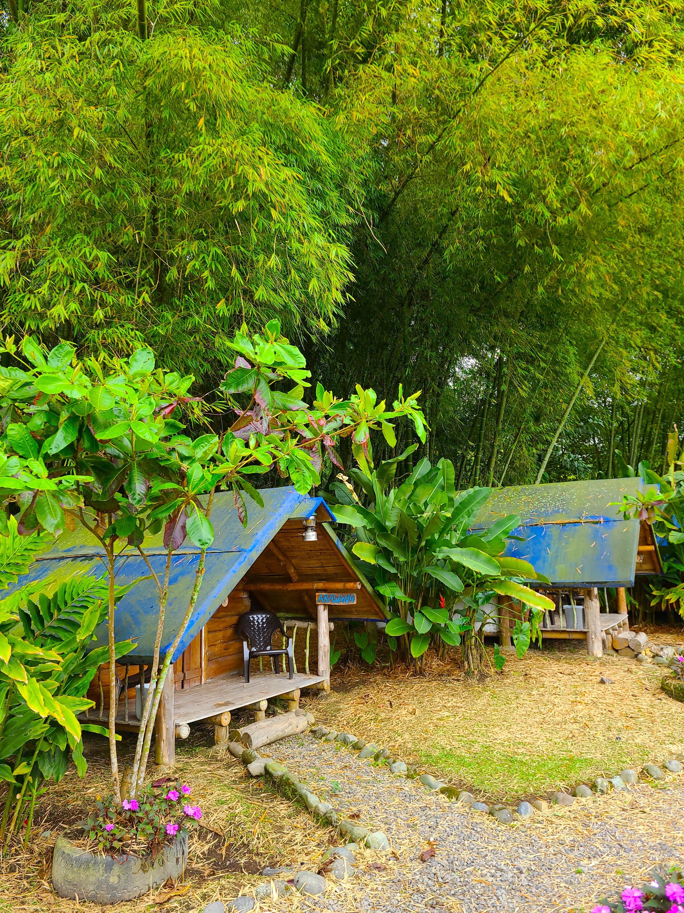 Phòng