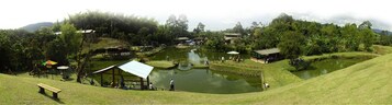 A park with a pond, picnic areas, and a small pavilion.