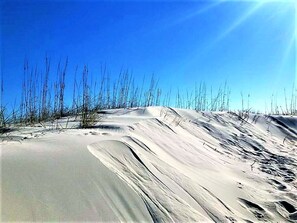 A sandy beach with sparse vegetation and a clear blue sky. - 3bdrm/3bath- BEACHFRONT AND 5 steps to TWO POOLS - sleeps 8! (Dauphin Island)