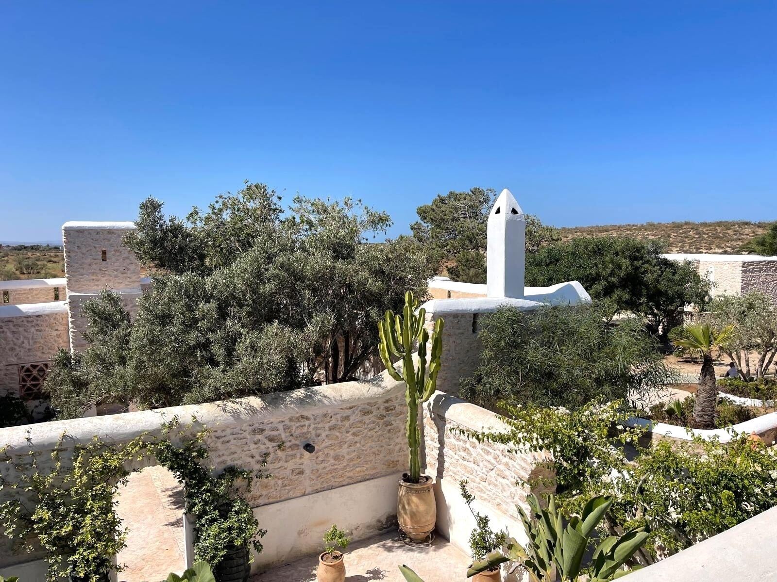Un bâtiment traditionnel en pierre, doté d’une tour blanche, entouré de verdure et de cactus.