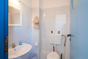 Combined shower/bathtub, hair dryer, towels, soap