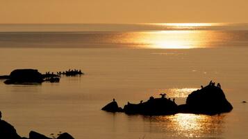In StrandnĂ€he, LiegestĂŒhle