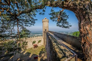 Front of property - evening/night - Ferienwohnungen auf Schloß Auerbach (Bensheim)