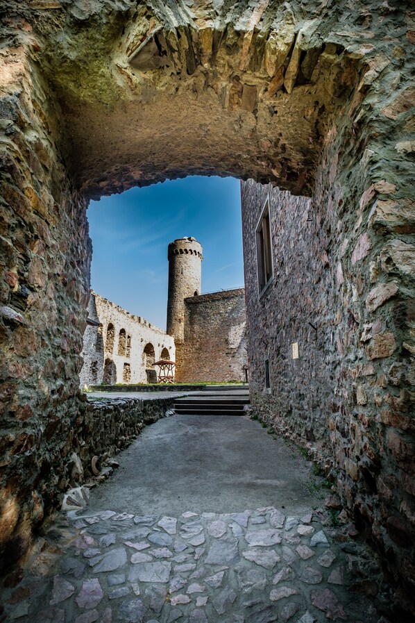 Property grounds - Ferienwohnungen auf Schloß Auerbach (Bensheim)