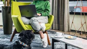 Una persona sentada en una silla verde con una computadora portátil, un perro acostado en el suelo y una mesa de centro con una taza y un plato.