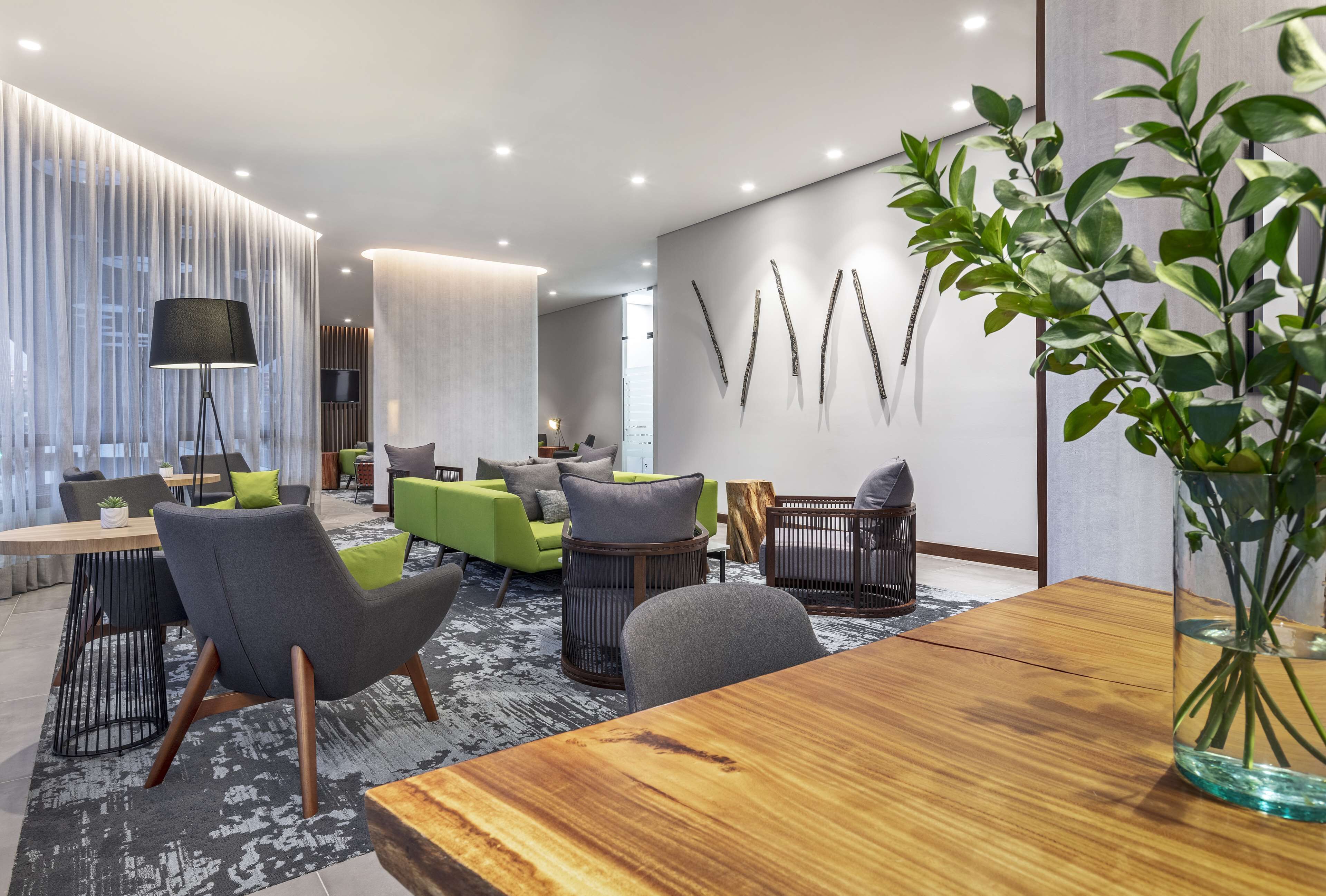 Un interior moderno con una mesa de comedor de madera, sillas tapizadas de color gris, un sofá verde y una planta grande en un florero de vidrio.