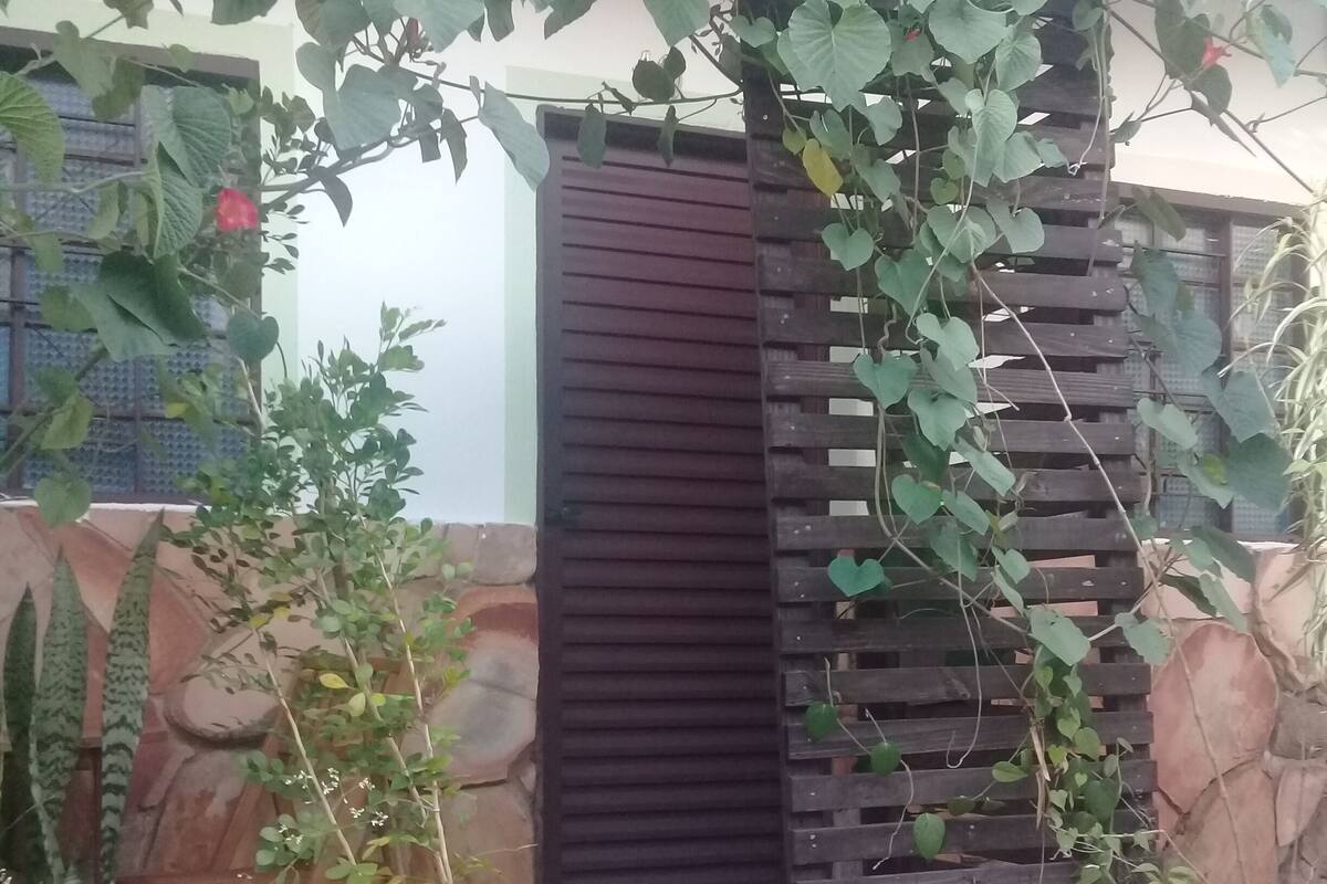 Une entrée dallée de pierres, avec un portail en bois, des plantes en pot et un écran fixé au mur.