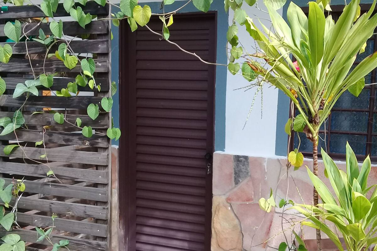 Une porte en bois avec un volet marron, un mur de pierre et un pot de fleurs contenant une plante à larges feuilles.