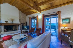 TV, fireplace, books, music library