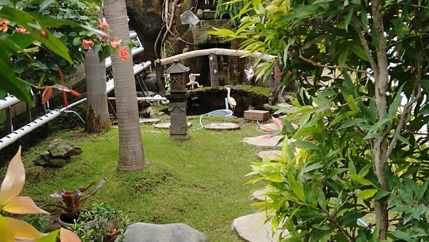 Un jardin avec un sentier en pierre, des palmiers et diverses plantes.