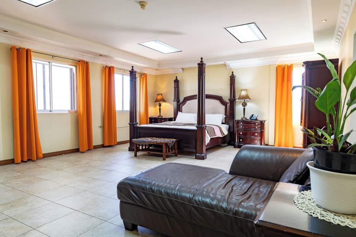 A spacious bedroom with a large bed, a leather sofa, and a potted plant.