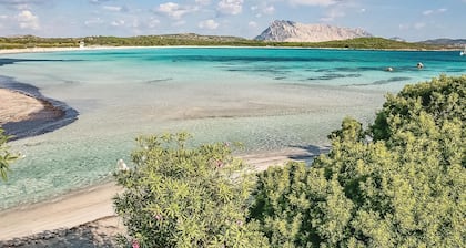 1 huoneen majoitusta Porto Torres