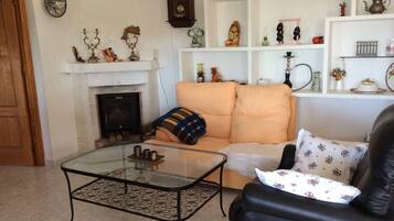 Télévision, cheminée, lecteur de DVD, livres