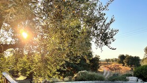 Zona de piscina con una silla de descanso, una cesta de mimbre con frutas y vistas a la piscina y el paisaje circundante.