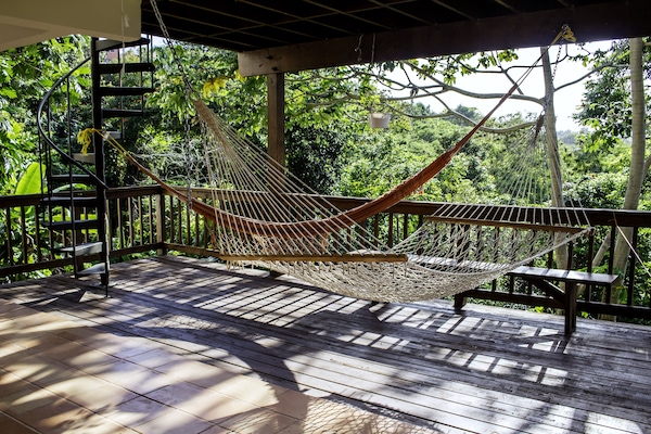 Enjoy the Hammocks in the Cool Shade on the Lower Deck Facing the Jungle