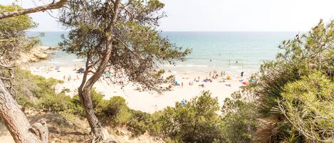 Playa