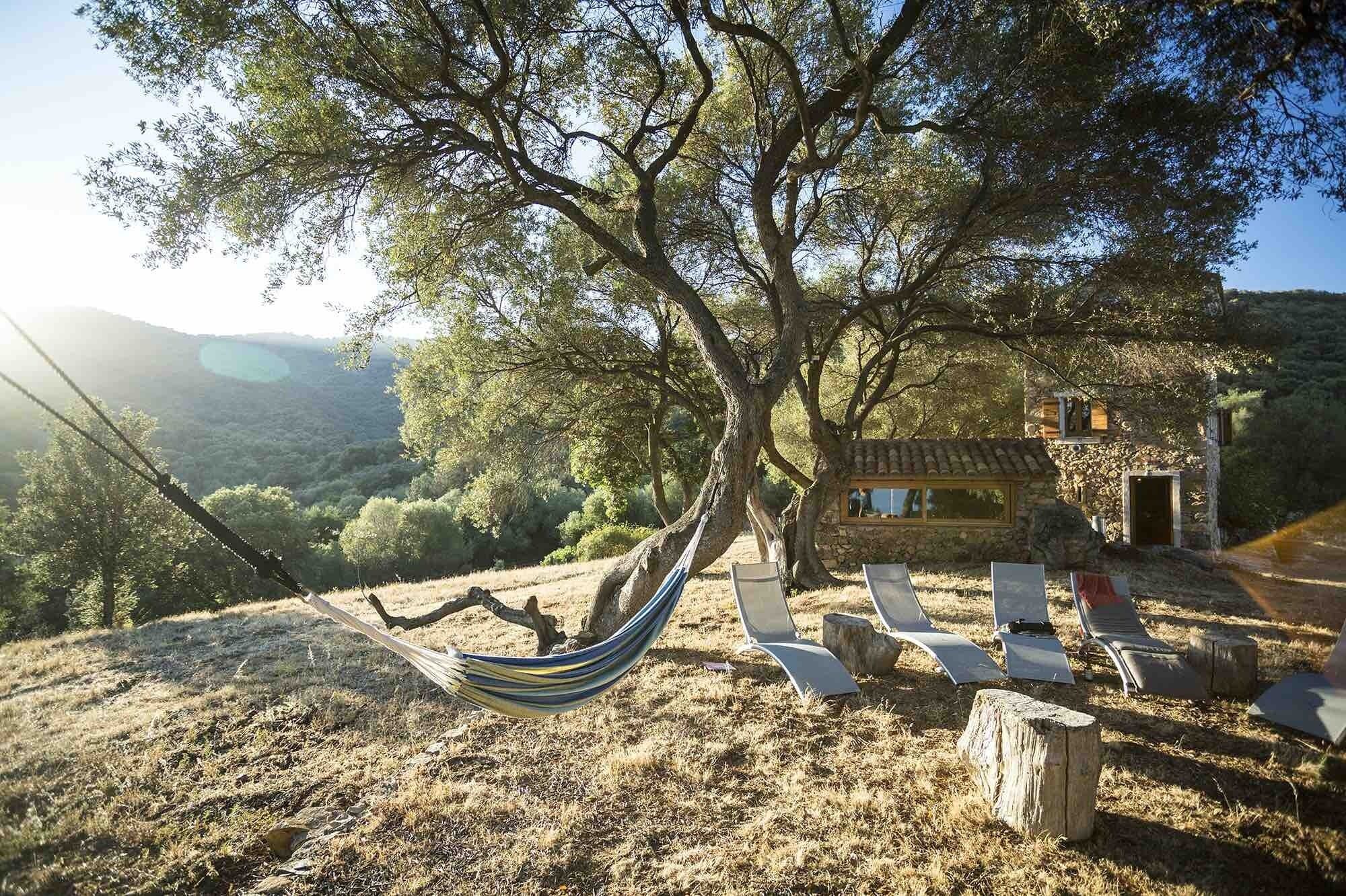 Overnatningsstedets område