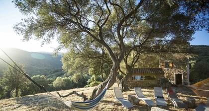 Charming traditional house from Corsica