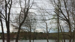 A grassy area with trees and a hammock. - Convenient, clean and cozy 3 bedroom, 2 bath overlooking idyllic lake whittemore (Spencer)