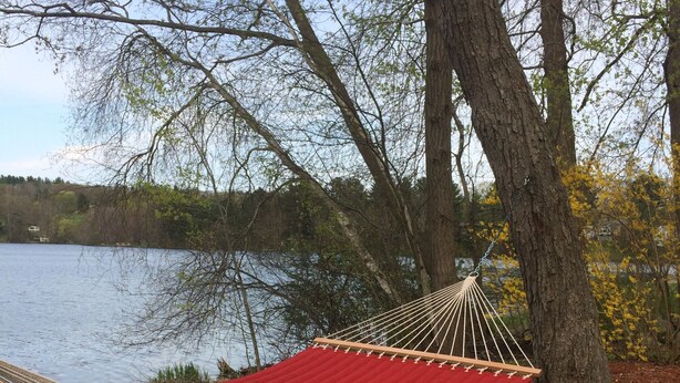 A hammock tied between two trees by a lake. - Convenient, clean and cozy 3 bedroom, 2 bath overlooking idyllic lake whittemore (Spencer)
