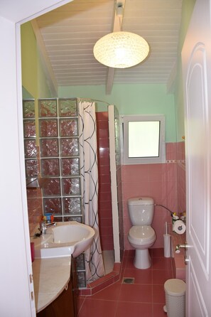 タオル、石鹸、シャンプー、トイレットペーパー