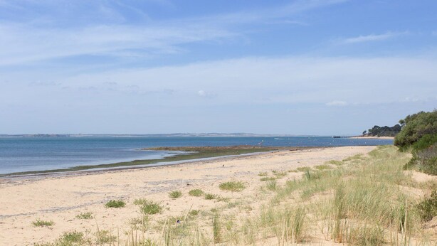 A sandy beach with sparse vegetation, a calm sea, and a clear sky. - Foreshore Escape Cowes #2 - short walk along the beach to Cowes main street (COWES)