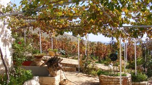 A vineyard with a stone pathway, a rustic wooden bench, and a white trellis structure. - Traditional villa with great views convenient for the beach, local area & sites (Argos)