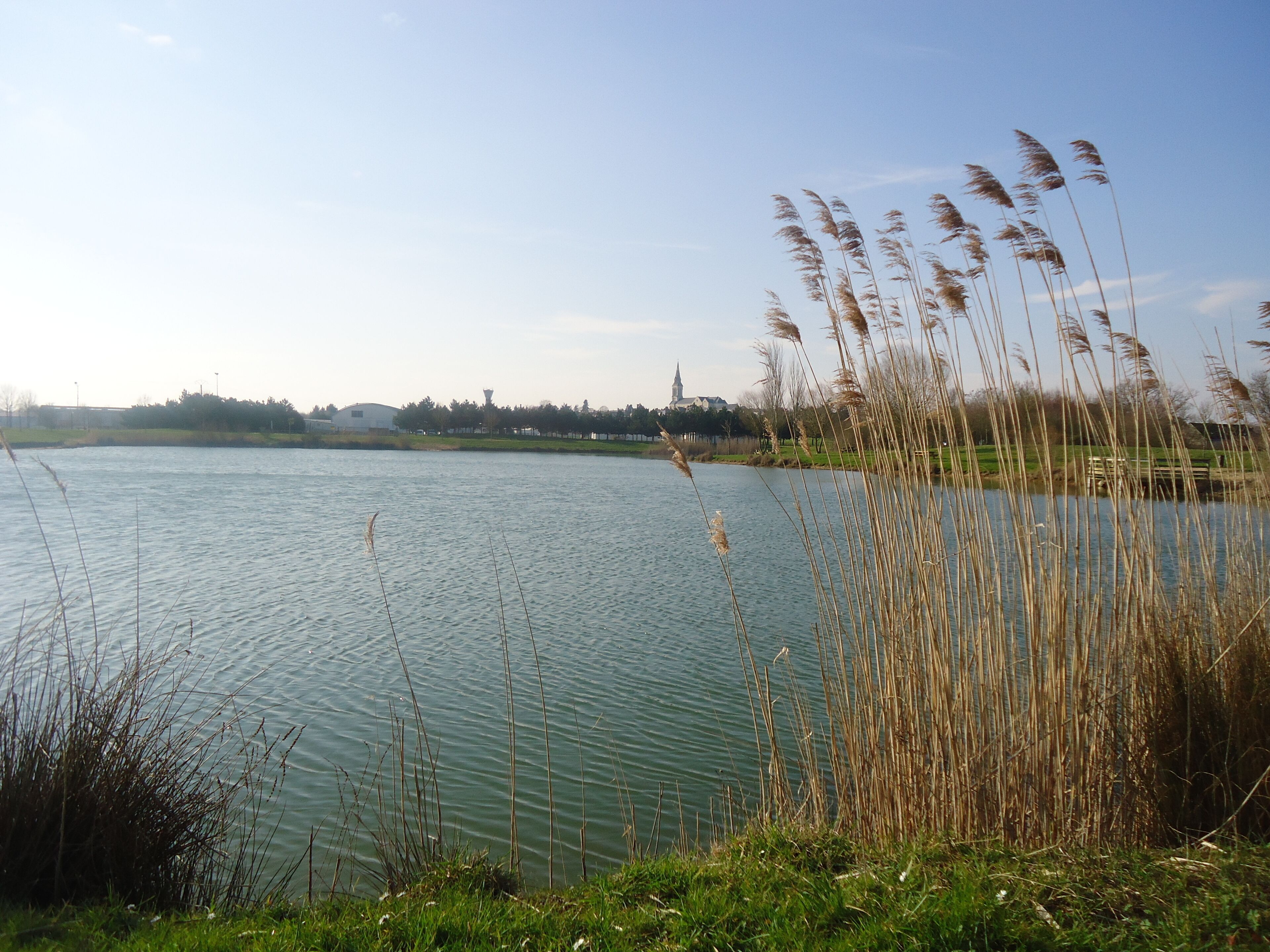 Een rustig meer met rietkragen op de voorgrond en een gebouw in de verte.
