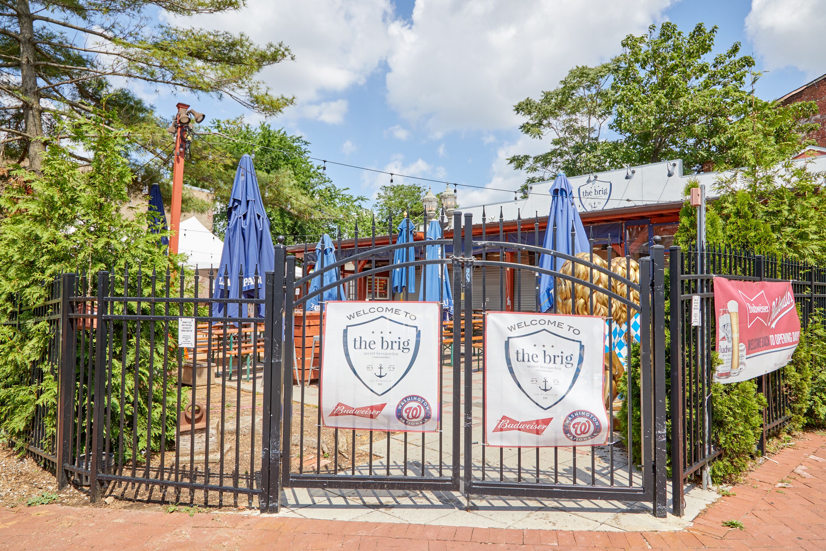 Photo - Sonder Callisto