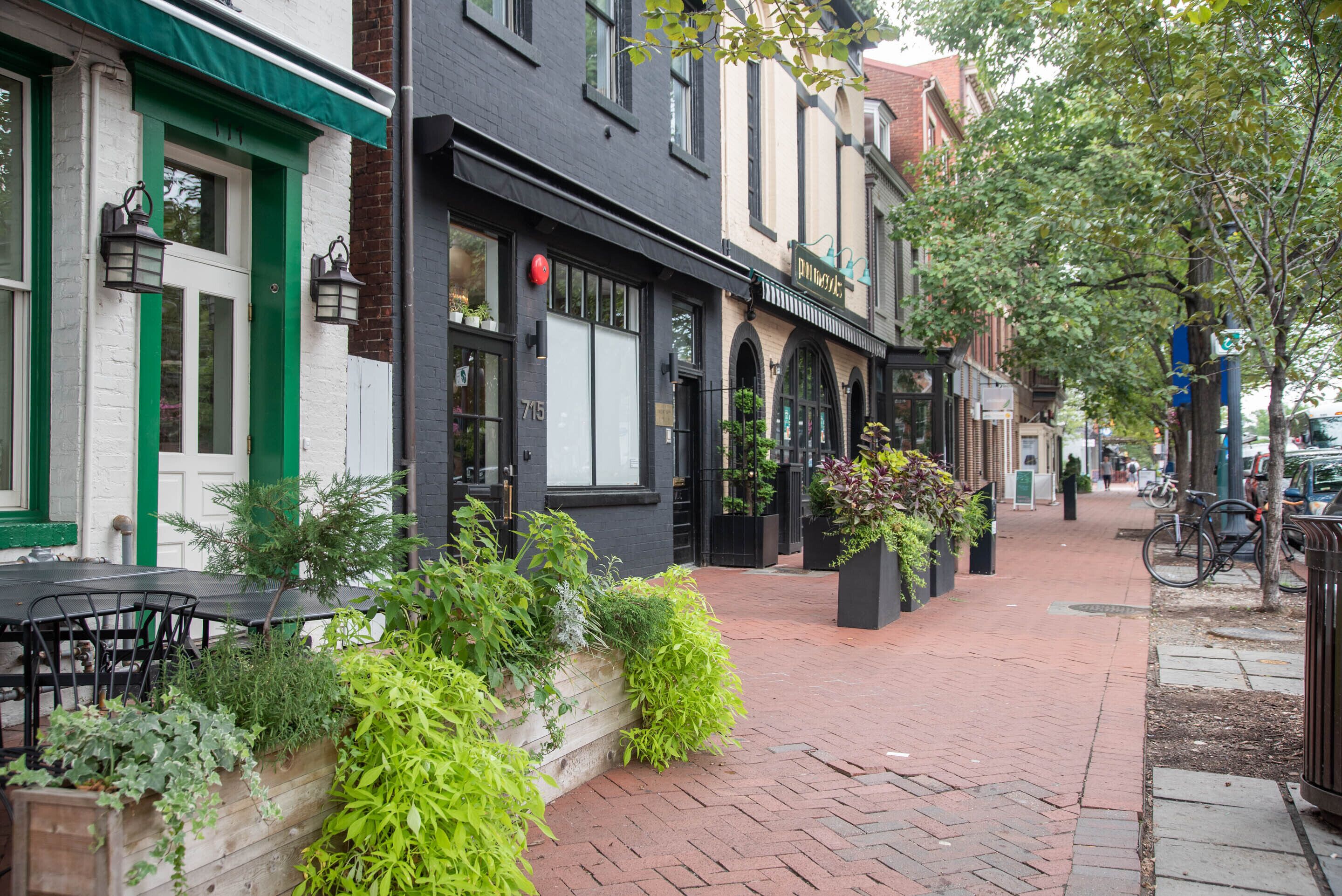 Photo - Sonder Callisto