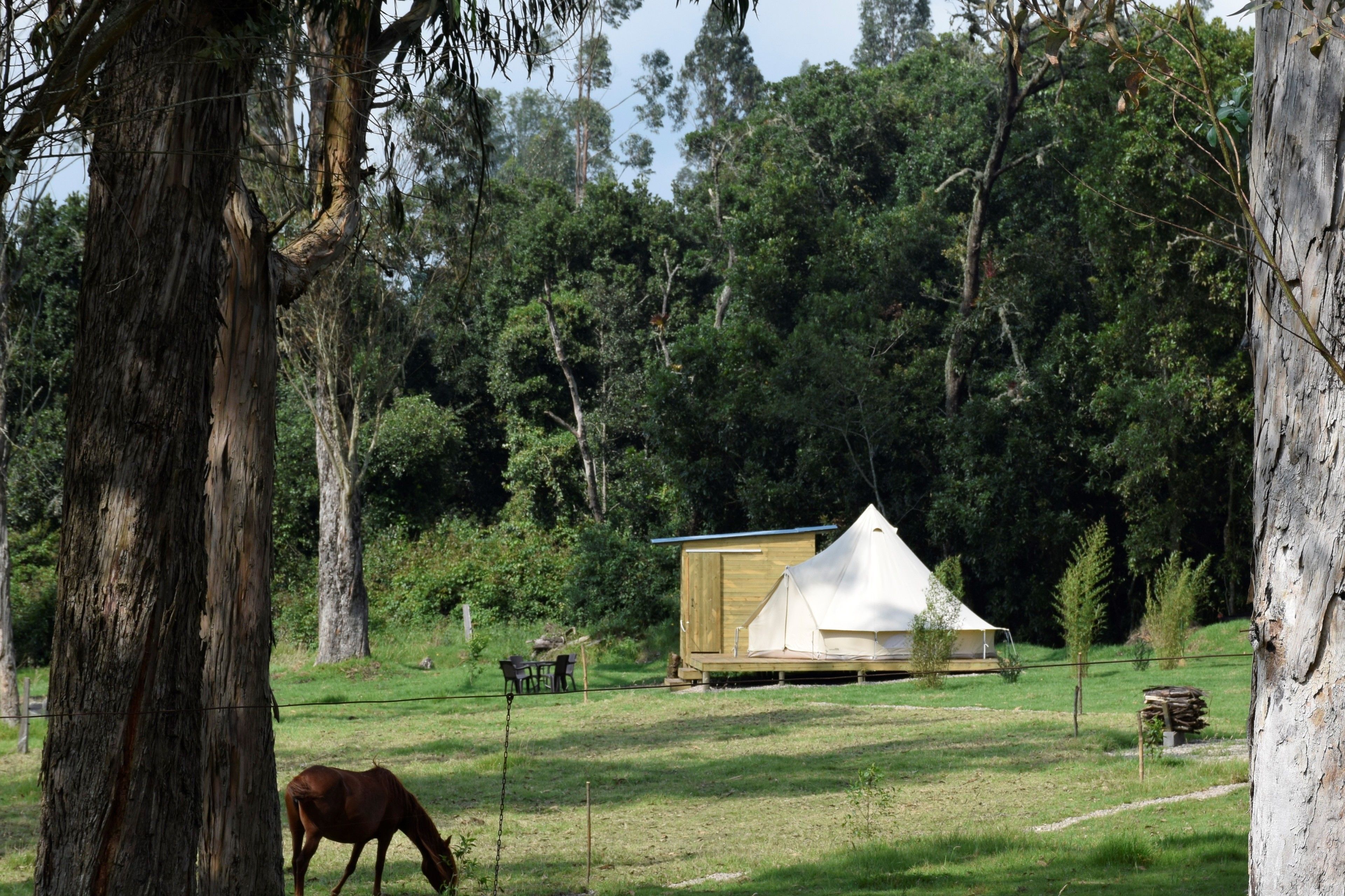 Premium Tent, Multiple Beds