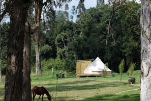 Tente Premium, plusieurs lits