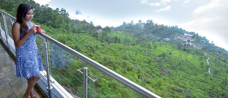 A person standing on a balcony with a view of a green landscape.