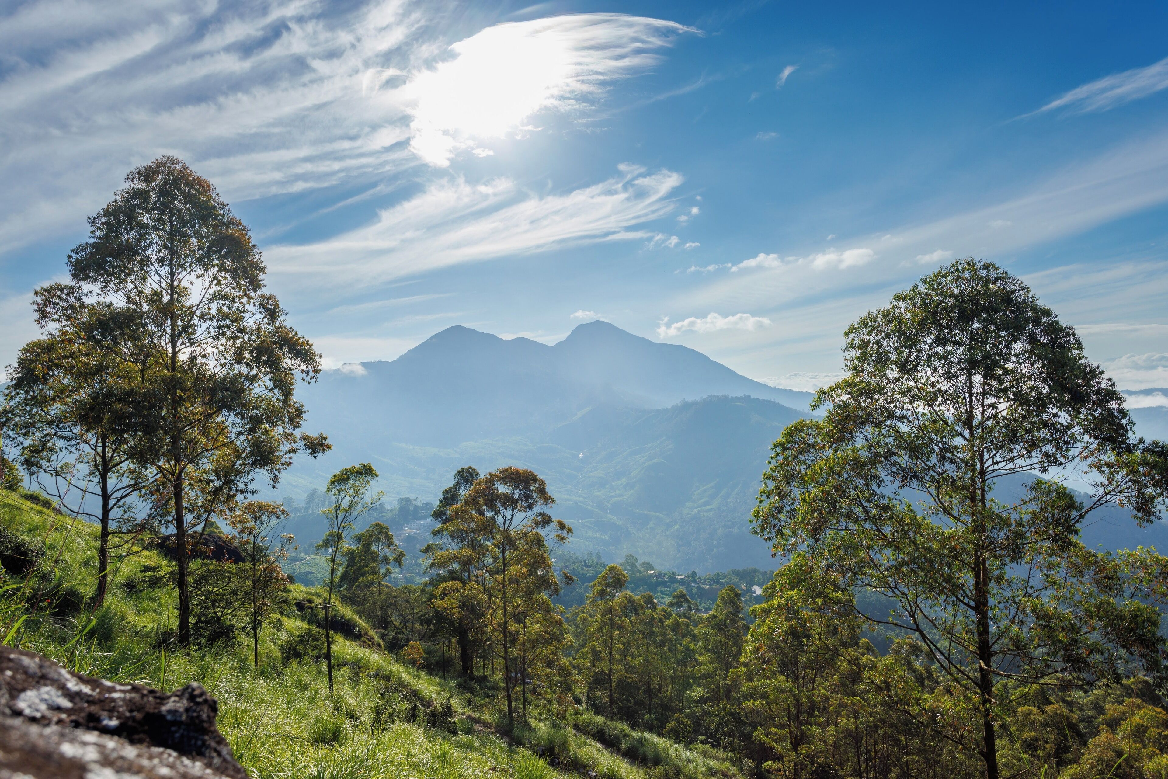 A mountainous landscape with trees and a clear sky.