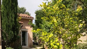 Un giardino con un vialetto, un alto conifero e un edificio con tetto in tegole.